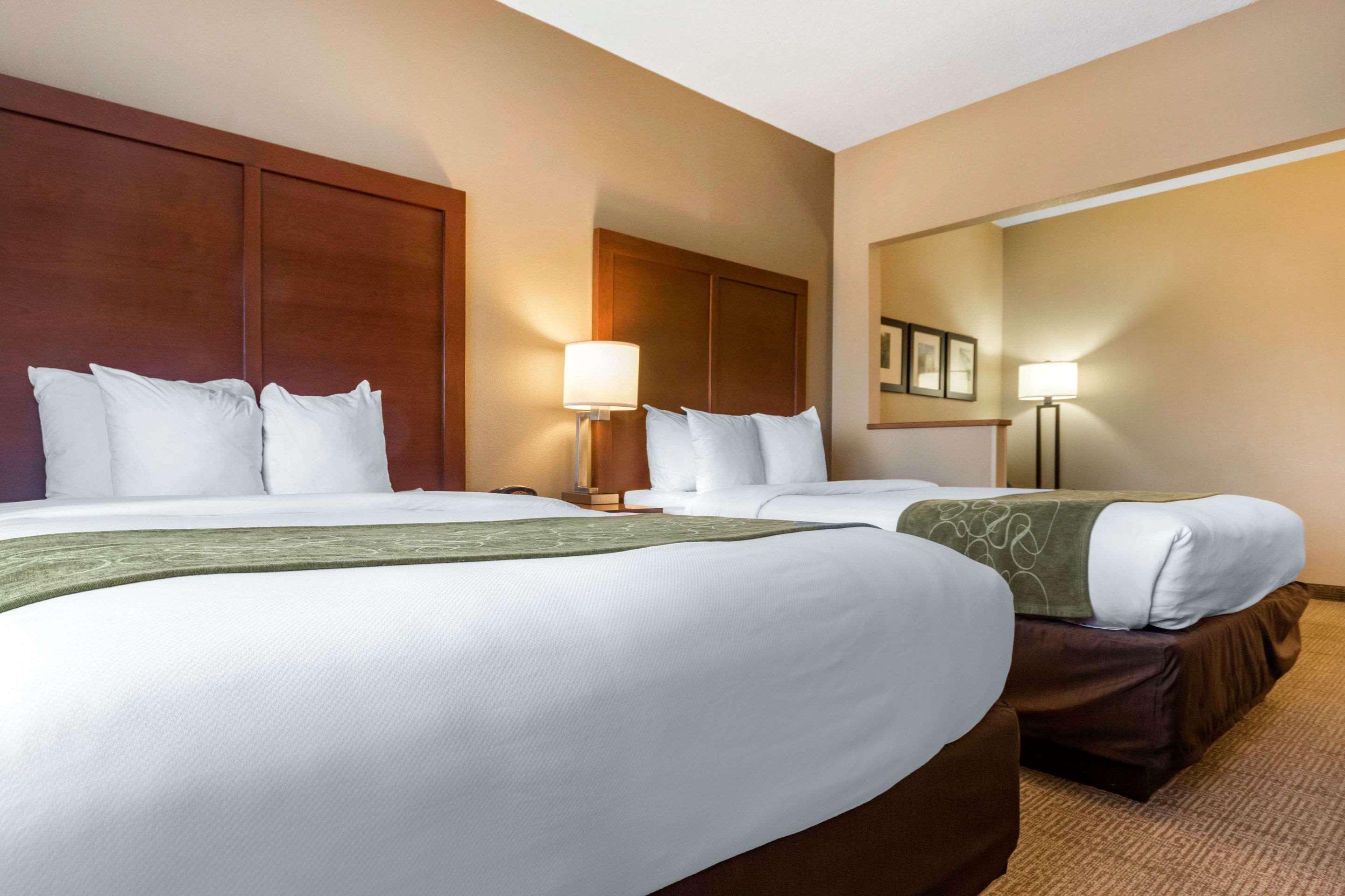 Comfort Suites Keeneland Lexington Buitenkant foto